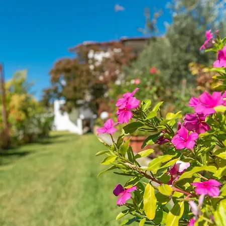 Blooming Memories * Vourvourou