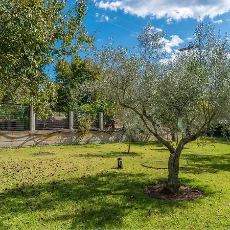 Blooming Memories Appartamento Vourvourou