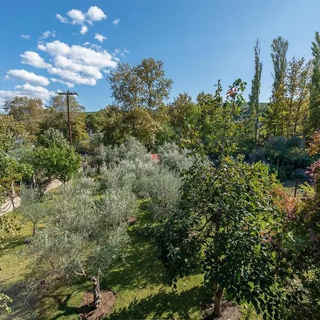 Appartamento Blooming Memories